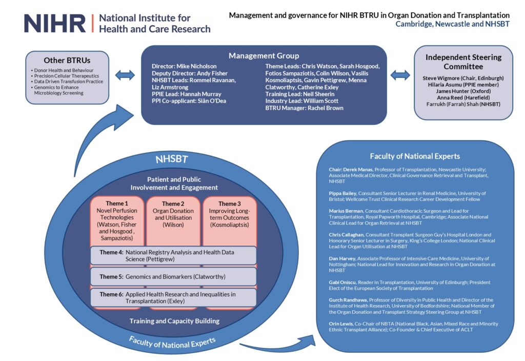 Organogram showing the different roles and groups involved in the BTRU